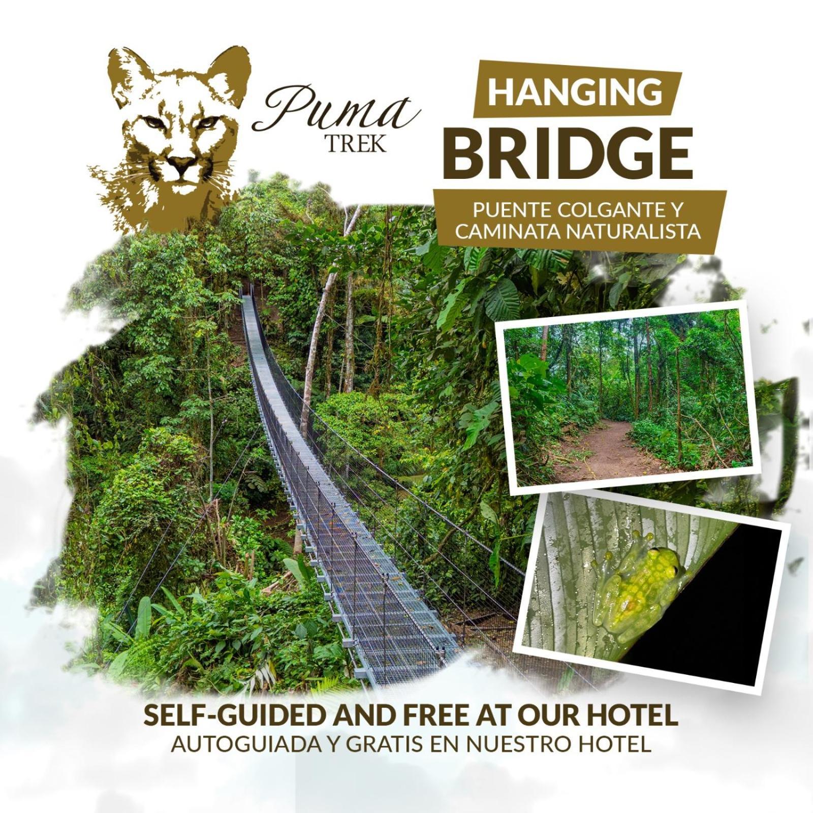Lost Iguana Resort And Spa La Fortuna ภายนอก รูปภาพ